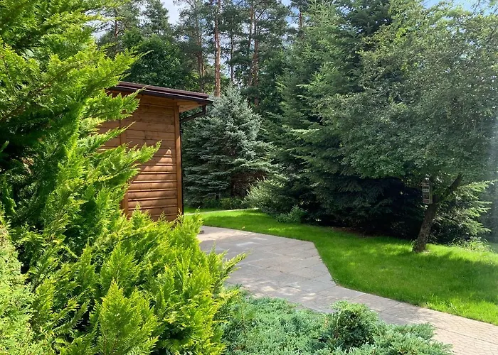 Lesny Zakatek Borkowo (Kartuzy)