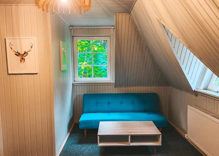 Bed & Breakfast Lesny Zakatek Borkowo (Kartuzy)