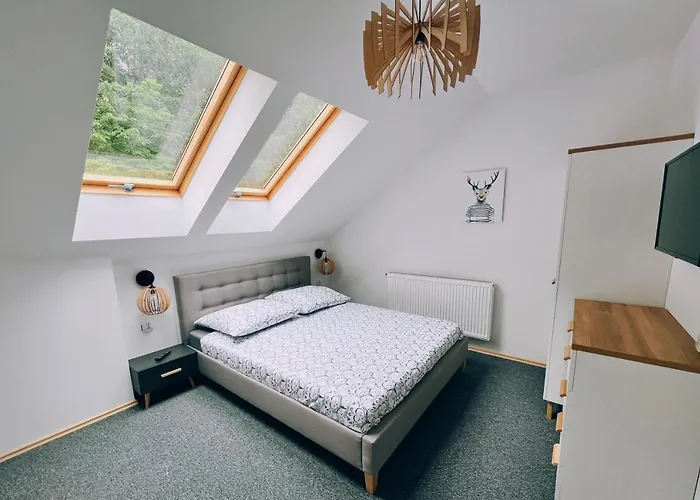 Bed & Breakfast Lesny Zakatek Borkowo (Kartuzy)